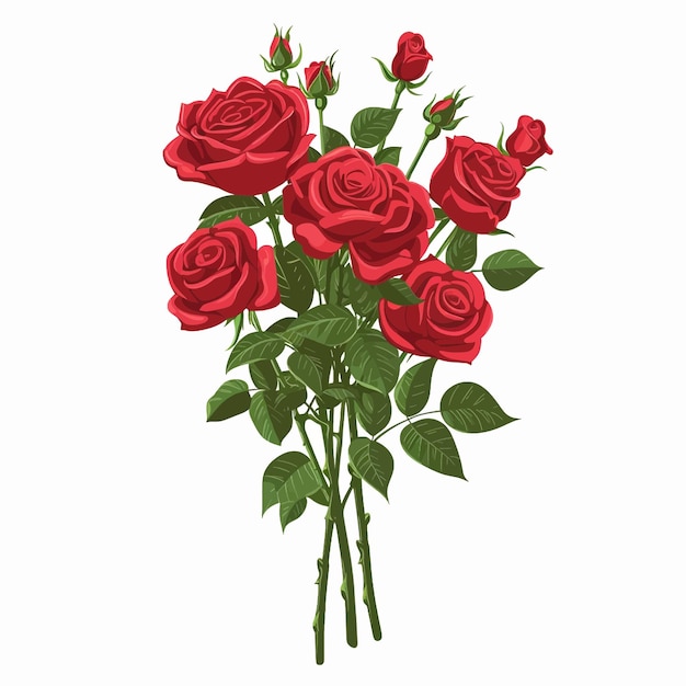 Bouquet of Red Roses Valentines Day 130