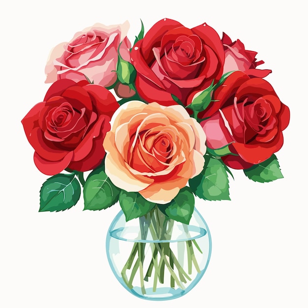 Bouquet of roses on a white background Vector illustration