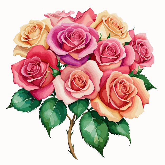 Bouquet of roses on a white background Vector illustration