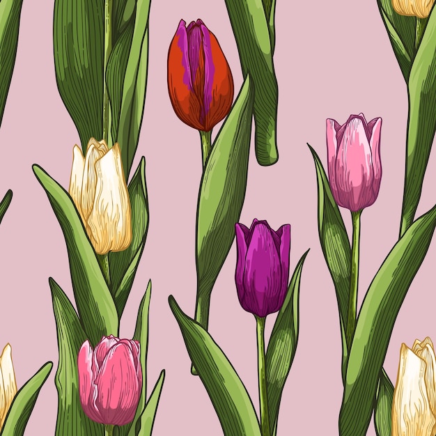 Bouquet of spring tulips flowers seamless pattern