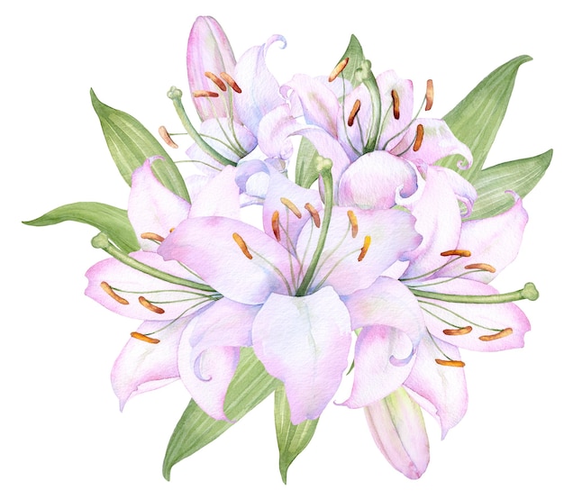 Bouquet white lilies watercolor flower arrangement