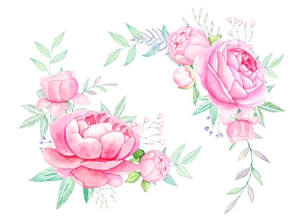 Bouquets of pink peonies in watercolor