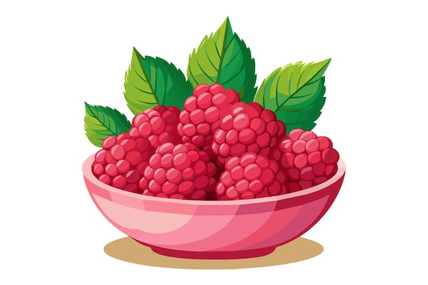 Vector a bowl of cartoon style raspberries fruit vector drawing clipart illustration