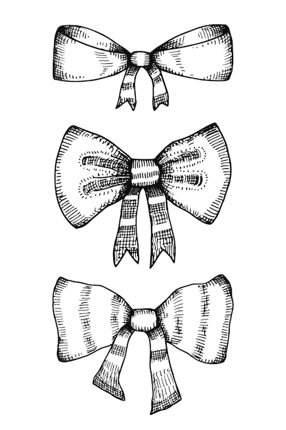 Bows vector illustration set