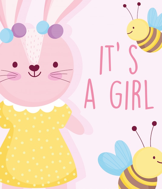 boy or girl, gender reveal cute rabbit with dotted dress bees card