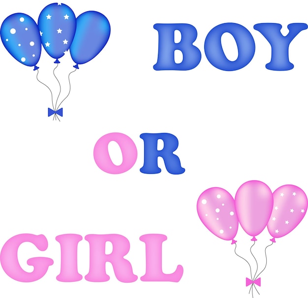 Boy or girl gender reveal party