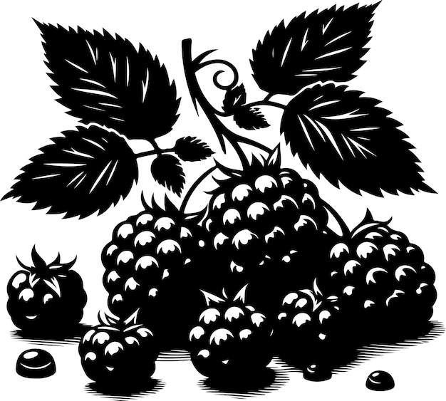 Boysenberries fruit silhouette