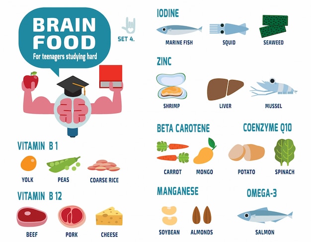 brain food for teenagers studying hard infographic vector illustration