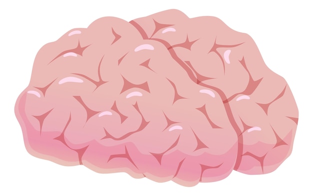 Brain icon Color neurology illustration Human organ