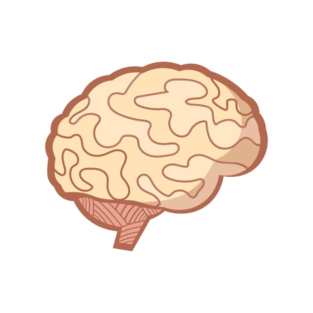 Brain illustration design element flat icon