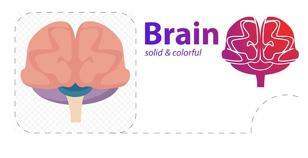 Brain isolated flat illustration brain line icon