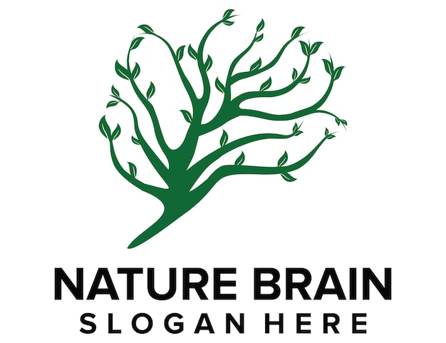 brain leaf tree branch logo nature brain