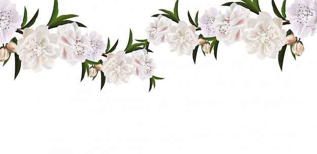 Branch of cherry blossom with flowers and leaves on white background.