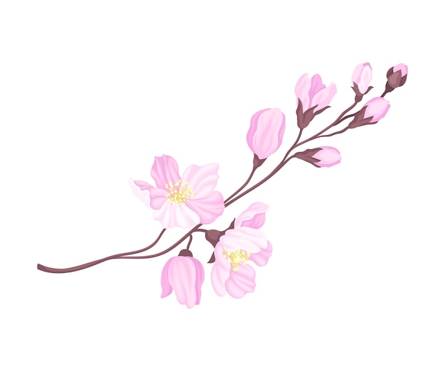 Branch of Cherry Blossom with Tender Pink Flowers Vector Illustration