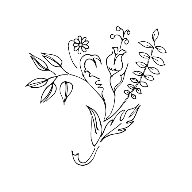 Branch in hand drawn style great design for any purposesVector sketch Doodle illustration