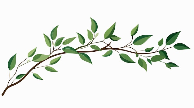 Vector branch and leaf outline vector illustration cartoon