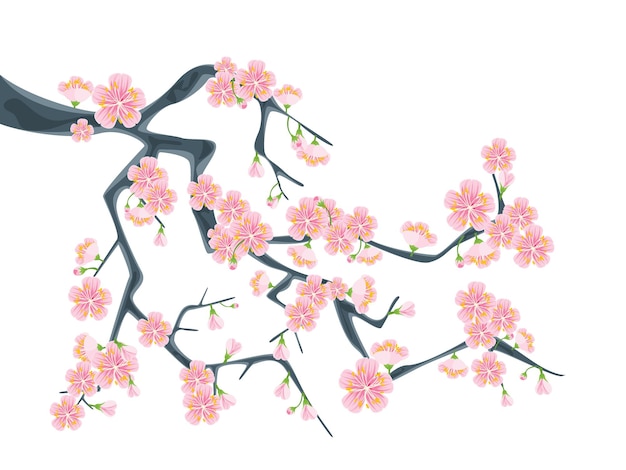 Vector branch of sakura or cherry blossoms isolated on white background traditional japanese flower decoration symbol seasonal tourism. vector illustration