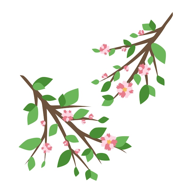 Branch with foliage and pink flowers isolated on white background Vector decor elements