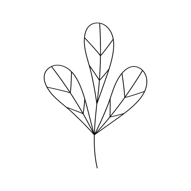 Branch with leaves Floral sign decoration book text Field herbs Linear sketch of a garden plant Hand drawn vector illustration in doodle style Elegant isolated element