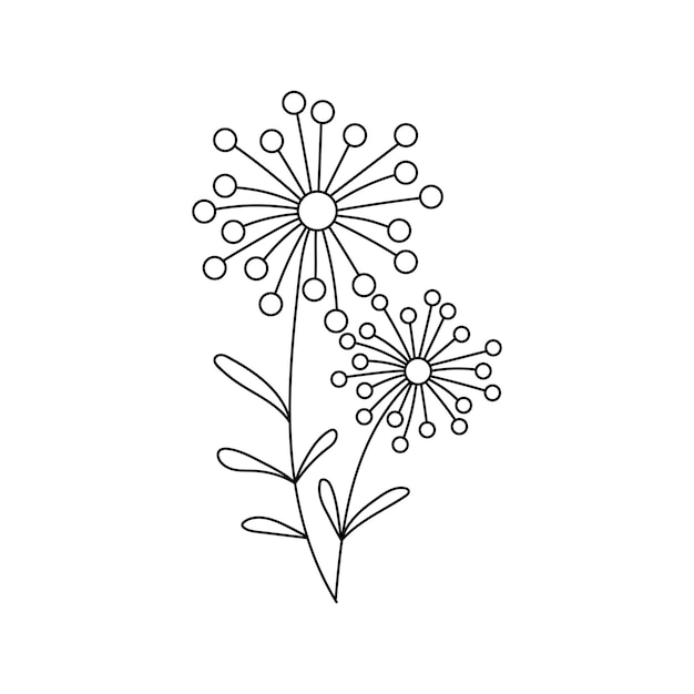 Branch with leaves Floral sign decoration book text Field herbs Linear sketch of a garden plant Hand drawn vector illustration in doodle style Elegant isolated element