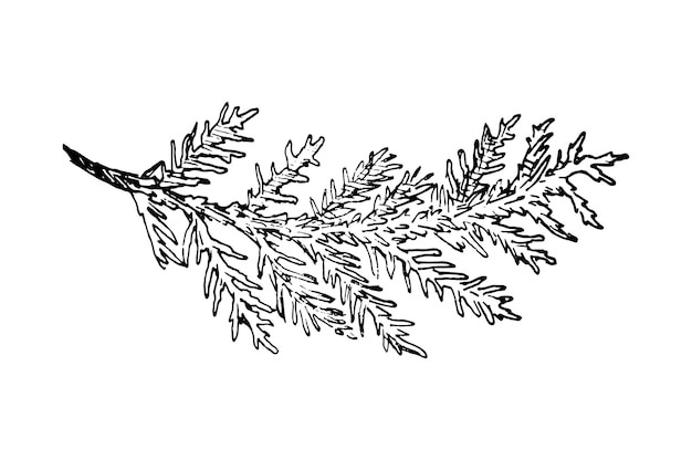 Branches Illustrations in art Ink style