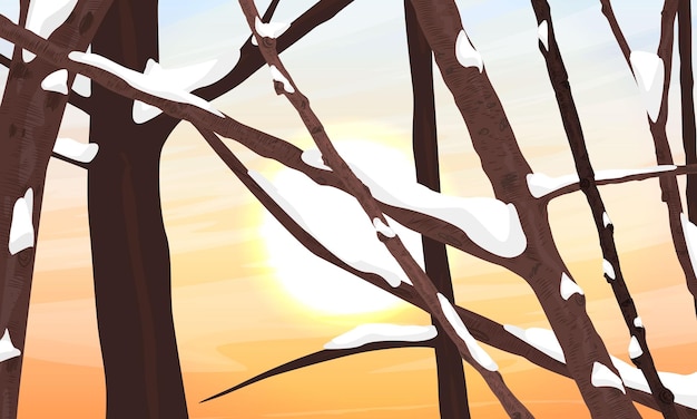 Branches of a tree in the snow Sunset sky Realistic vector landscape