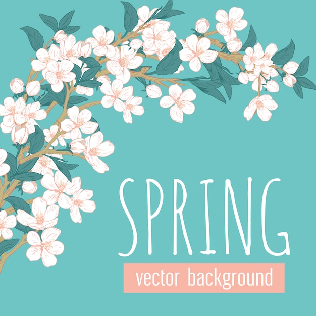 Branches with flowers on blue turquoise background and sample text Spring. 