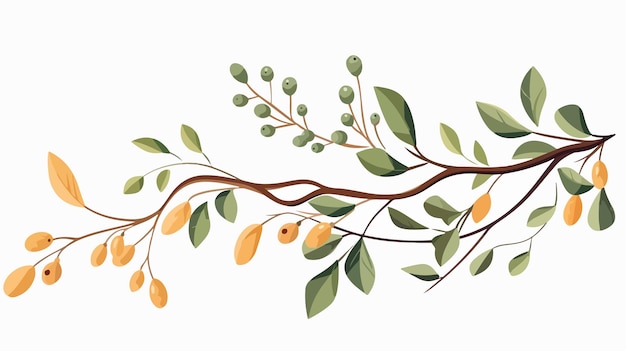 Branches with Leafs and Seeds Isolated Icon Vector Image