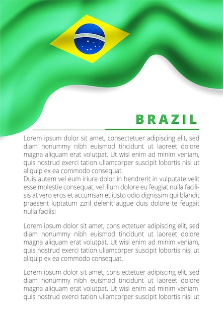 Brazil flag, vector illustration on a white background