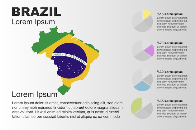 Brazil infographic general use vector template with pie chart Brazil country flag map with graphic