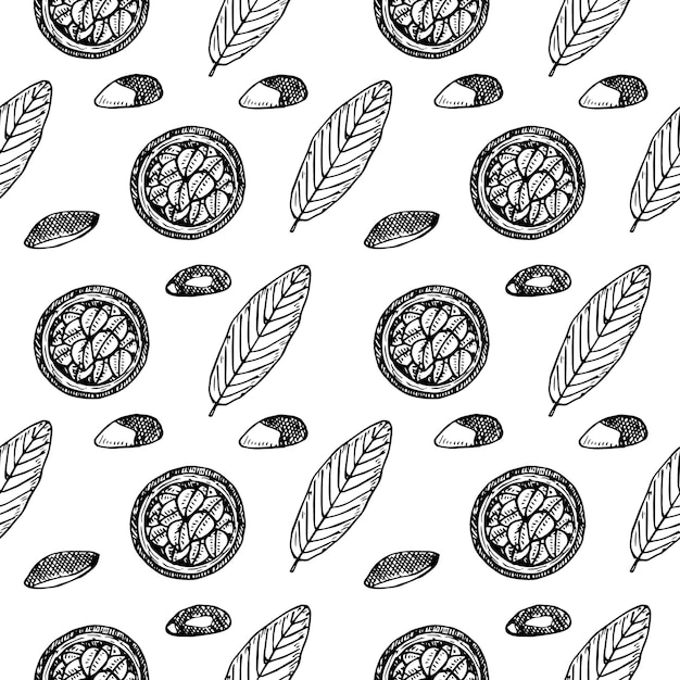 Brazil nut seamless pattern vector illustration hand drawing sketch