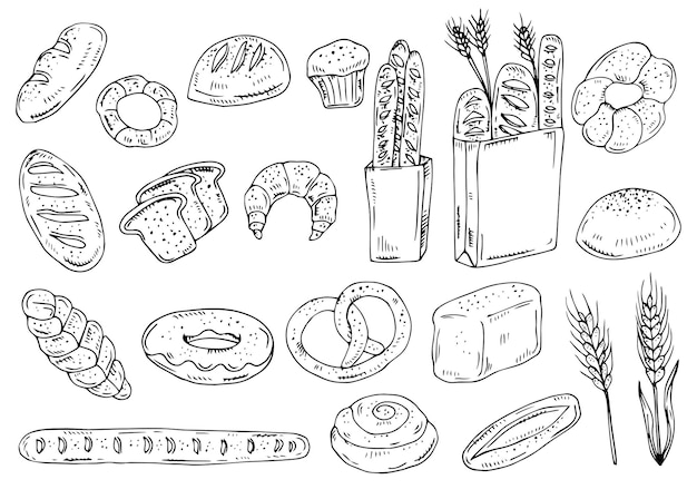 Bread outline set Drawing rye whole grain and wheat bread pretzel muffin pita ciabatta