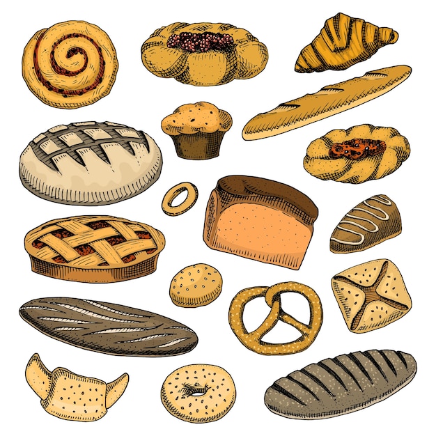 Bread and pastry donut Belgian waffles and fruit pie sweet bun or croissant muffin and toasts engraved hand drawn in old sketch and vintage style for label and menu bakery shop organic food