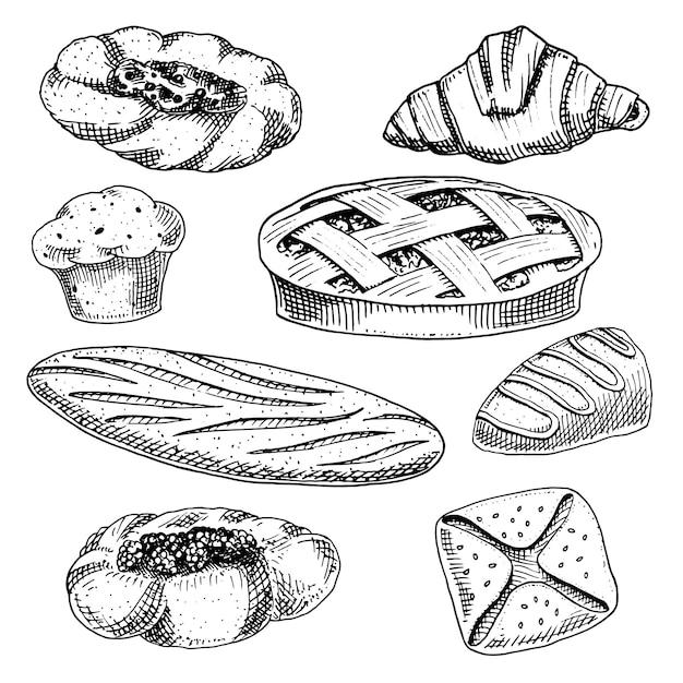 Bread and pastry donut long loaf and fruit pie cupcake and sweet bun or croissant chocolate muffin engraved hand drawn in old sketch and vintage style for label and menu bakery shop organic food