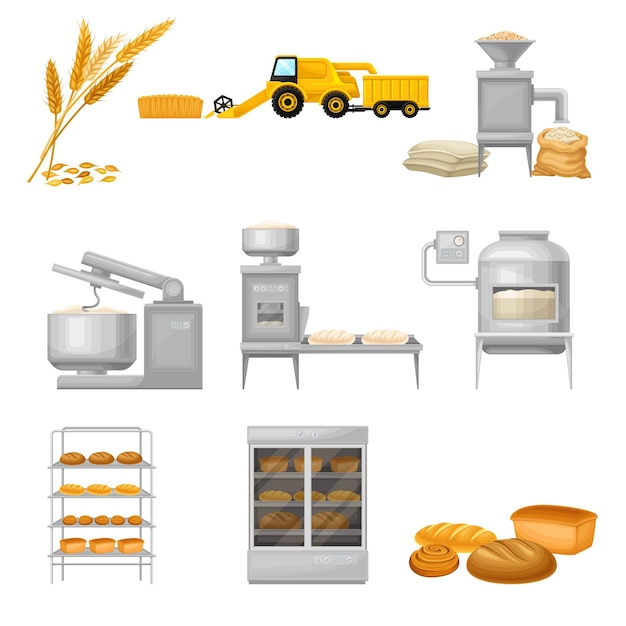 Vector bread production from grain crop harvesting to grinding and baking vector illustration set