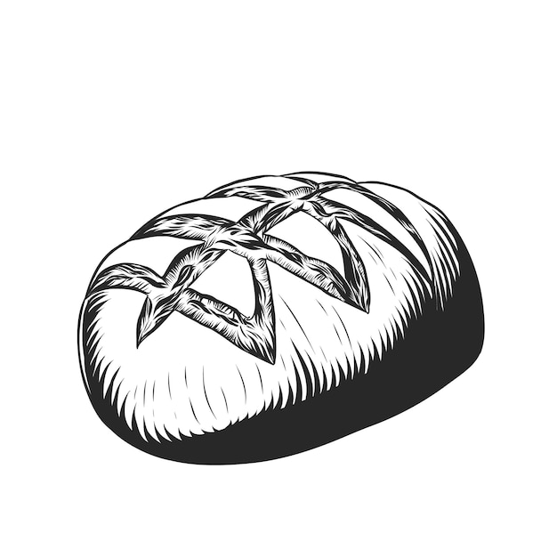 Bread vector hand drawn illustration flour fresh bread in vintage engraving style Loaf of bread