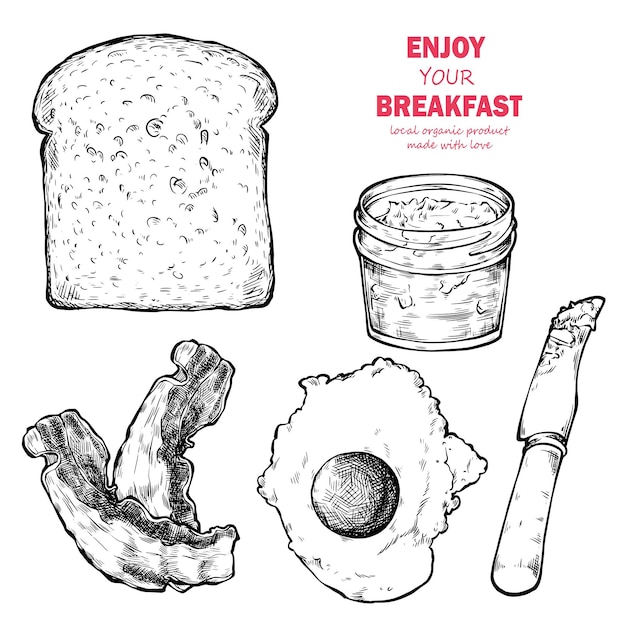 Vector breakfast and brunch illustration design for a menu in a restaurant or cafe vintage illustration