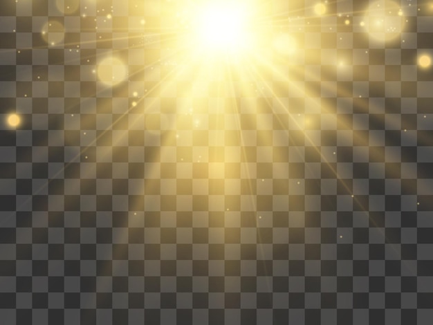 Bright beautiful star.Vector illustration of a light effect on a transparent background.