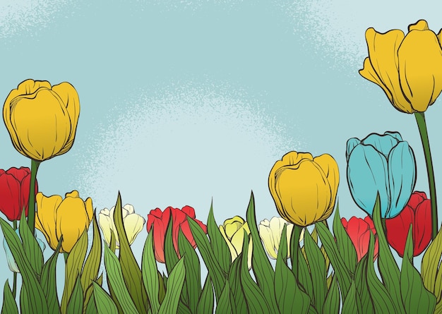 Bright blue red and yellow tulip flowers on green background