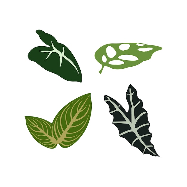 bright green leaves illustration set