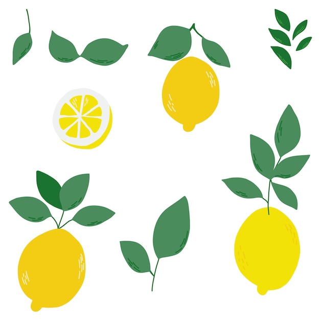 Bright lemons set with leaves Vector illustration