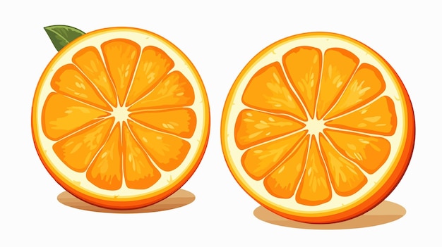 Bright Orange Slices Cartoon Vector Illustration Isolated