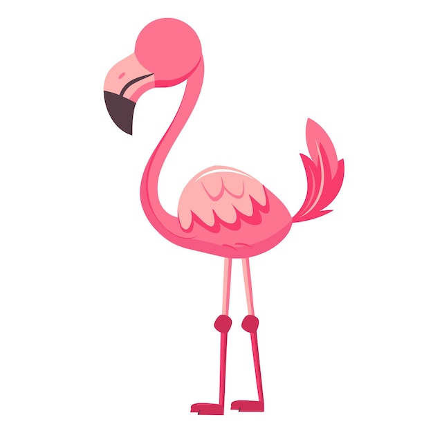 A bright pink flamingo in a graceful pose