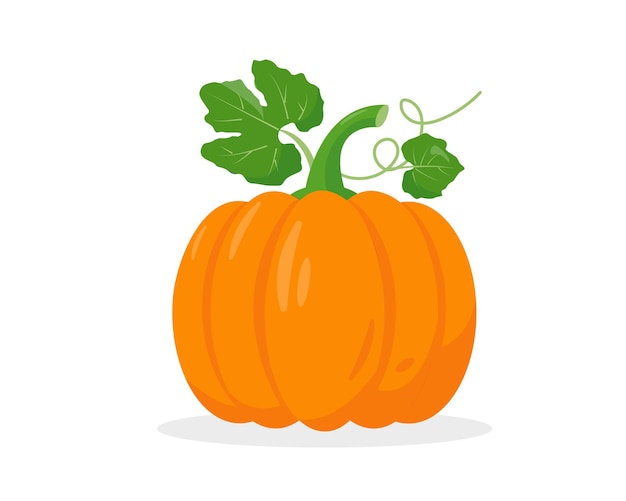 Bright pumpkin with leaves on white background