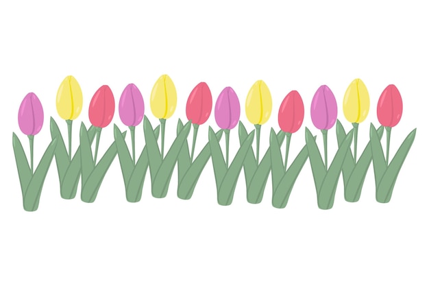 Bright Set of multicolored tulips lined up in one uneven line 8 March Springtime Happy Women day