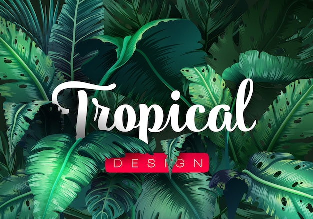 Bright tropical background with jungle plants