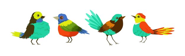 Vector bright tropical bird with colorful feathers vector set