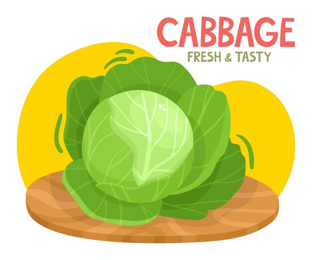 Vector bright vector illustration of colorful cabbage fresh cartoon organic vegetable with name