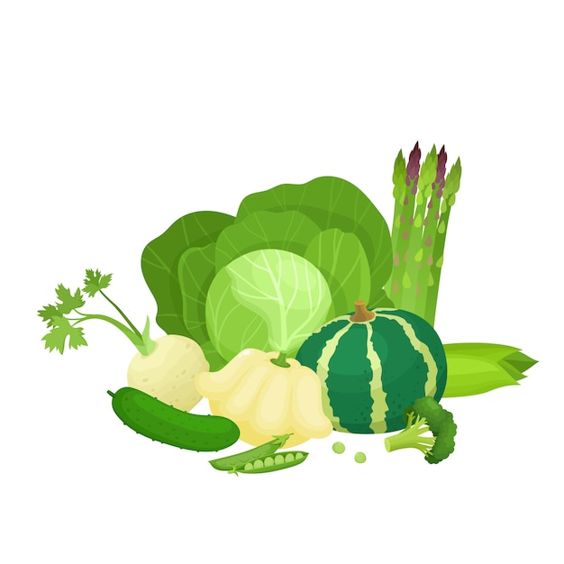 Bright vector illustration of colorful green vegetables, health life food