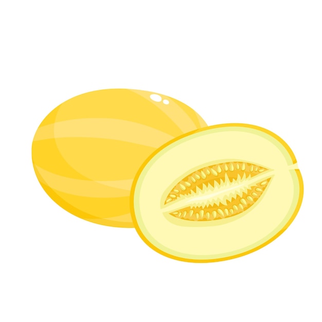 Bright vector illustration of colorful half, slice and whole of juice melon. Fresh cartoon vegetable isolated on white background.